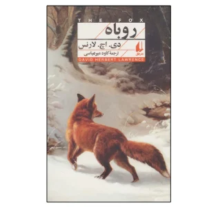 کالوینو